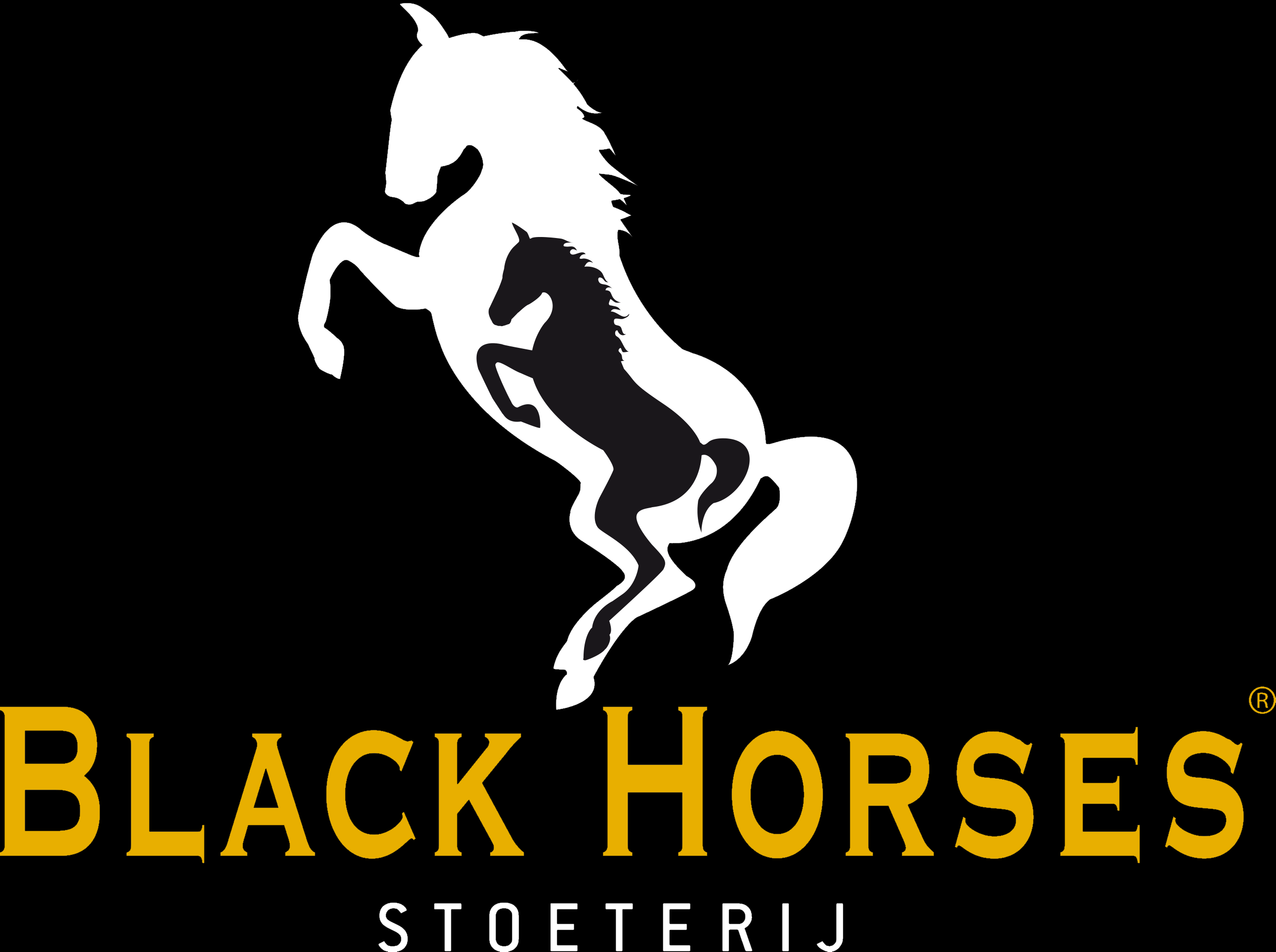 Black Horses